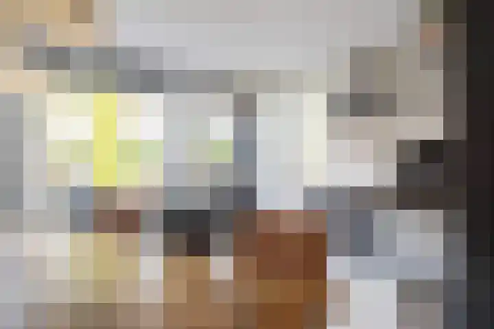 Staartmees 4 Emmen thumbnail 9