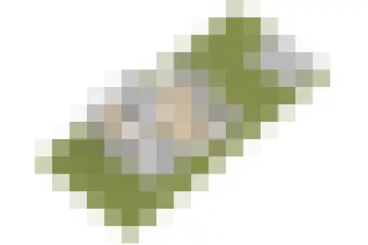 Staartmeeslaan 4 Almere thumbnail 86