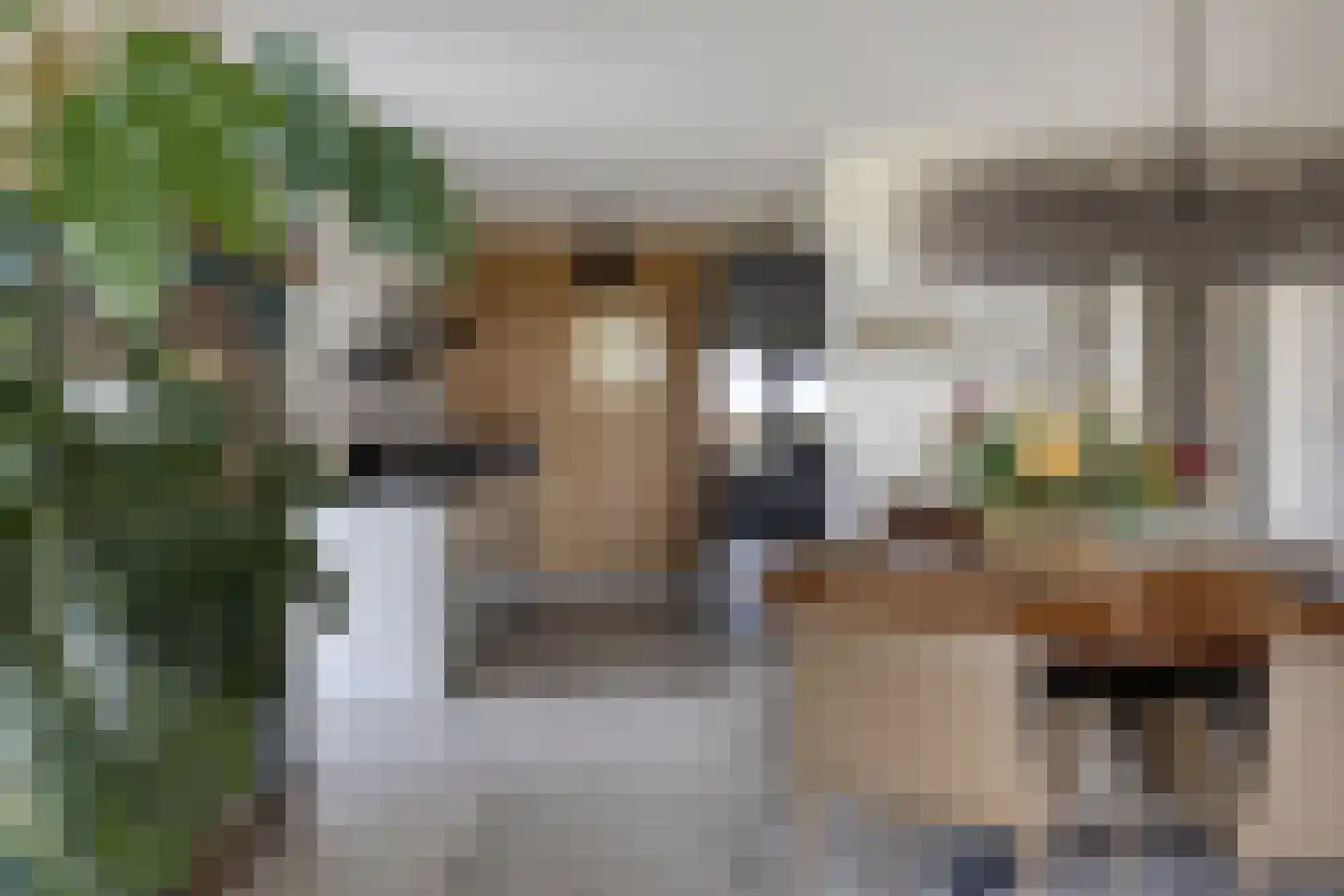 Staartmeesstraat 5 Zierikzee thumbnail 12