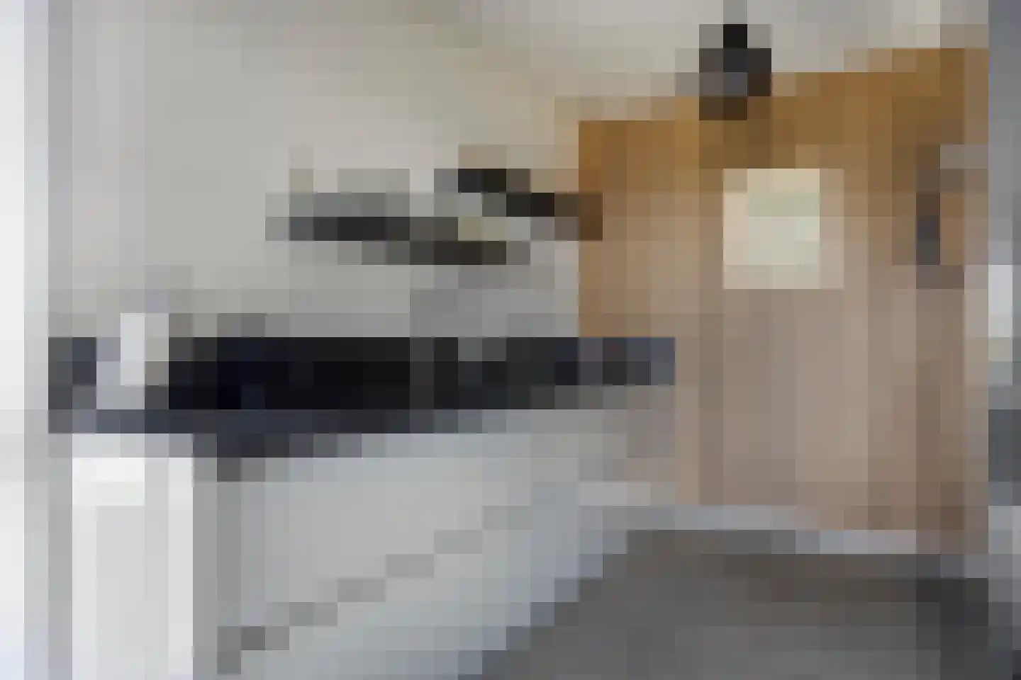 Staartmeesstraat 5 Zierikzee thumbnail 15