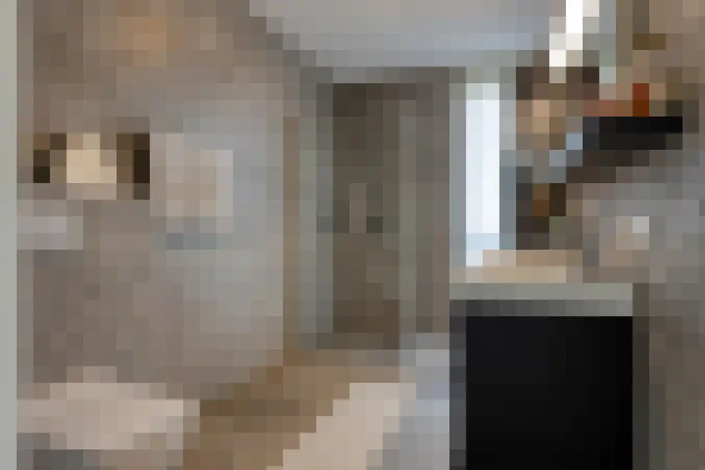 Staartmeesstraat 5 Zierikzee thumbnail 34