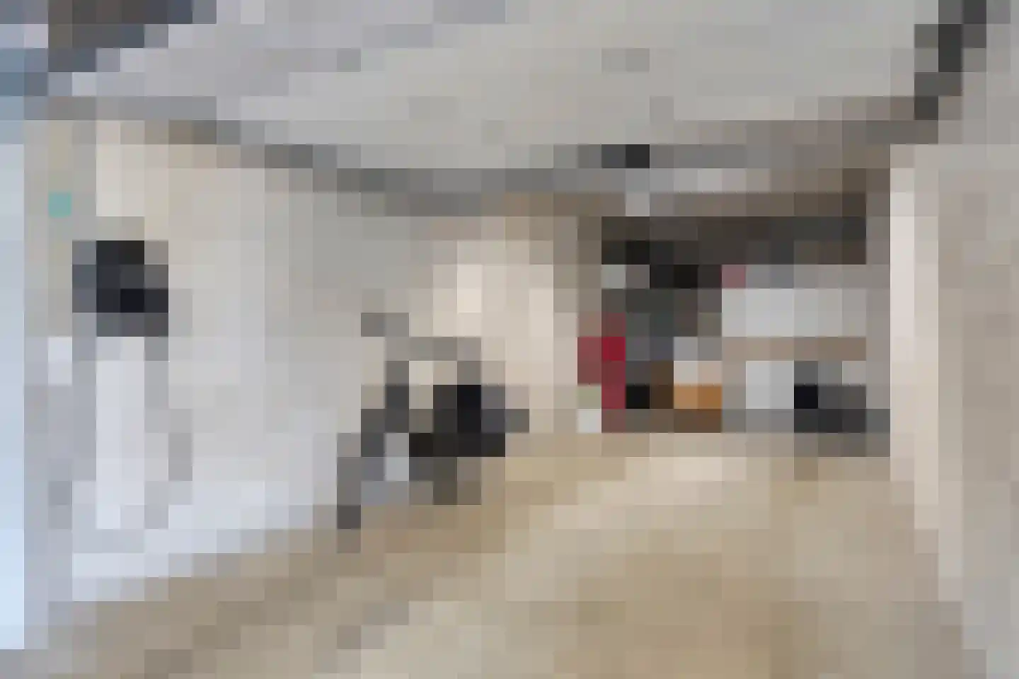 Staartmeesstraat 5 Zierikzee thumbnail 41