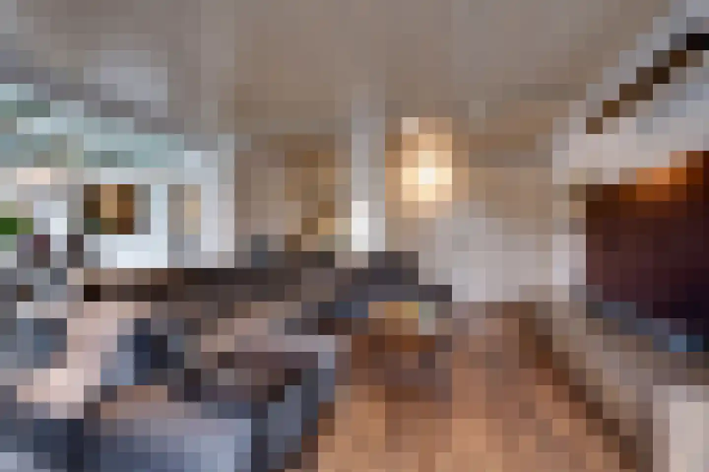 Staartmolen 1 Papendrecht thumbnail 11