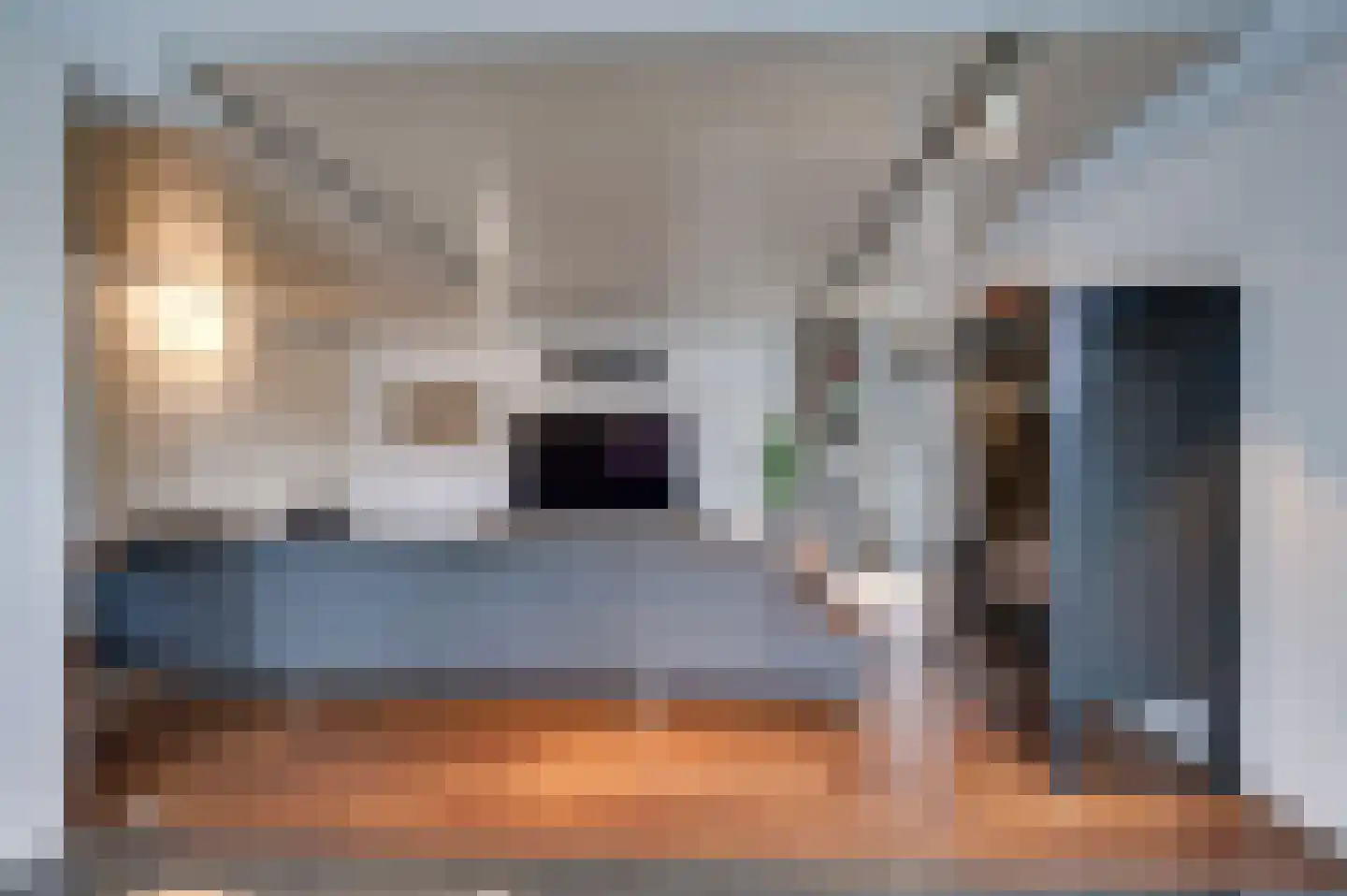 Staartmolen 1 Papendrecht thumbnail 13