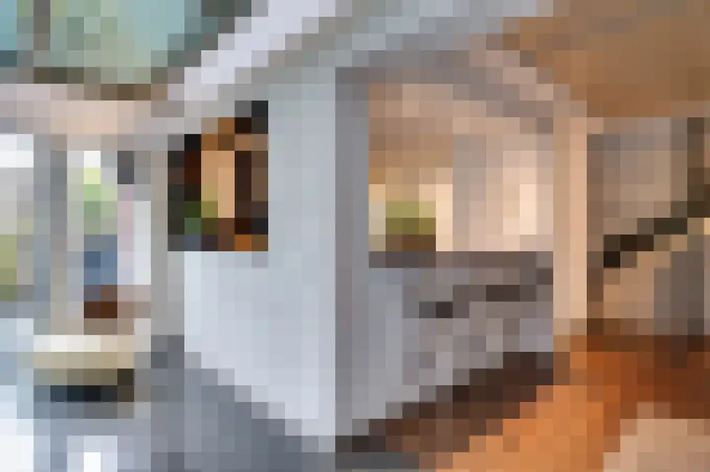Staartmolen 1 Papendrecht thumbnail 15