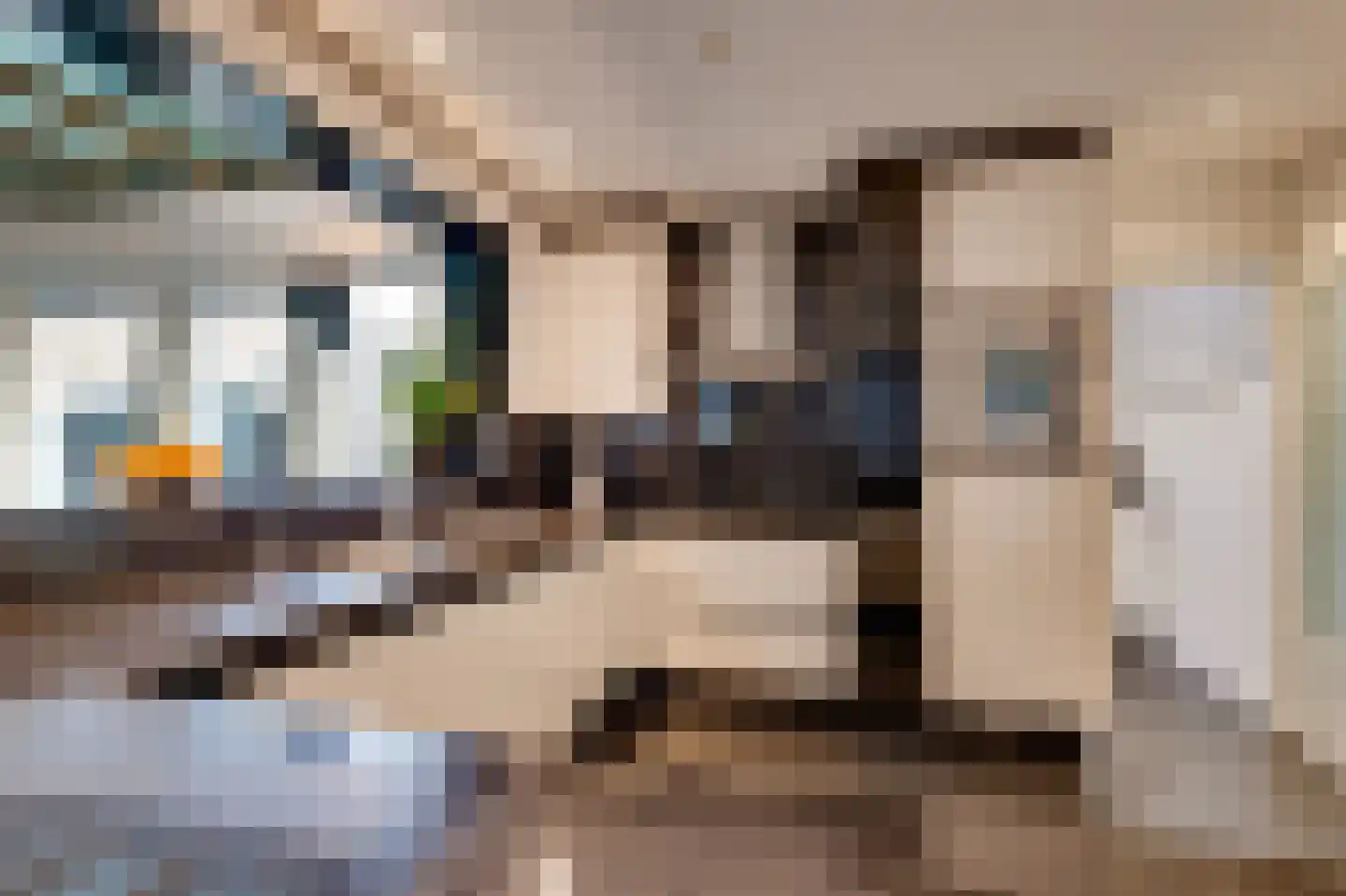 Staartmolen 1 Papendrecht thumbnail 17