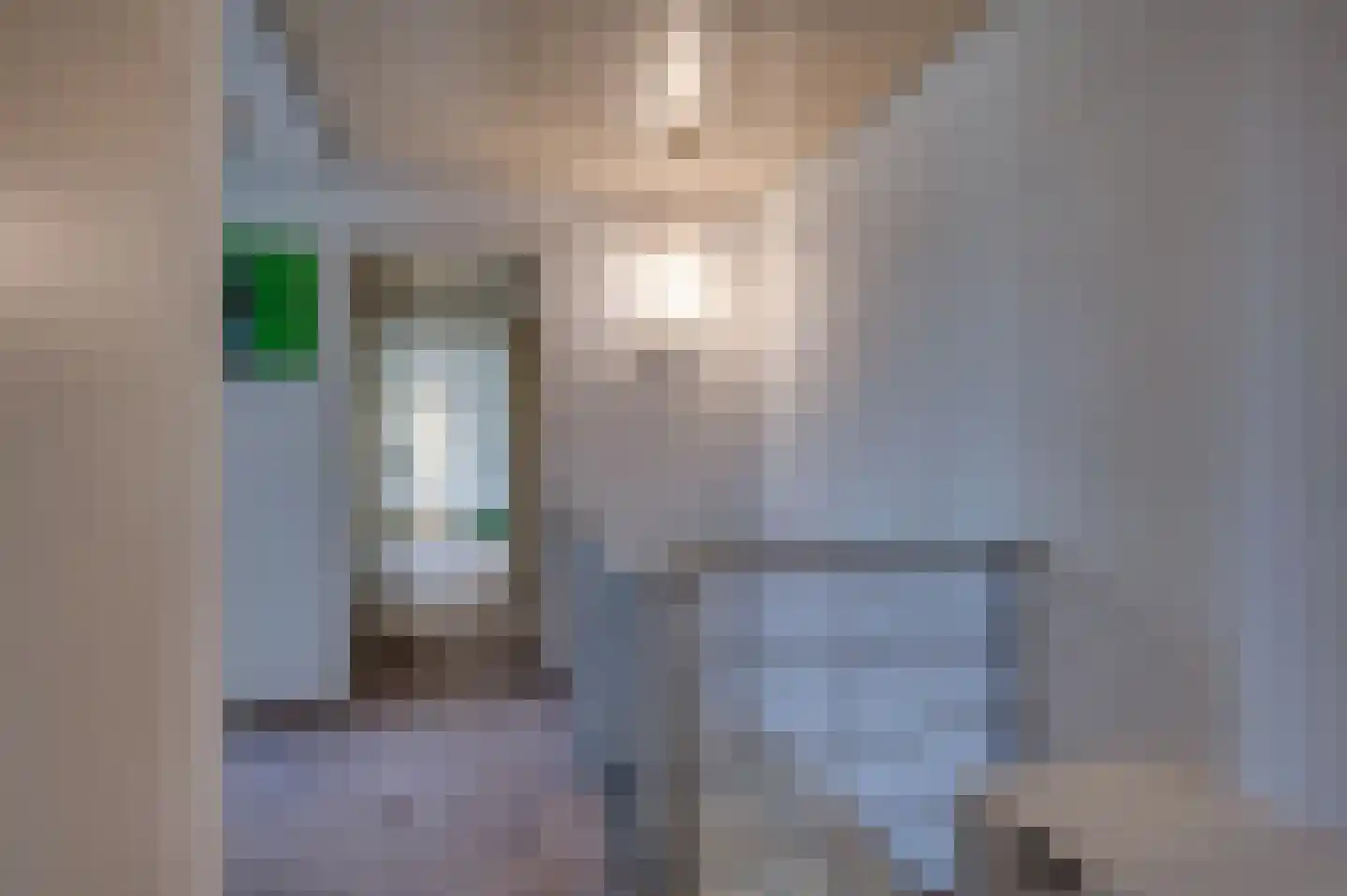 Staartmolen 1 Papendrecht thumbnail 30