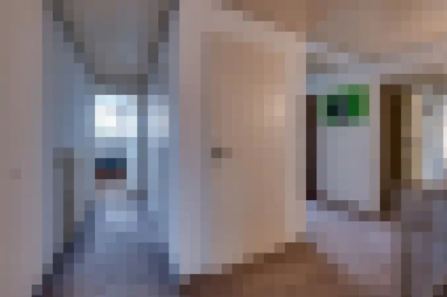 Staartmolen 1 Papendrecht thumbnail 31