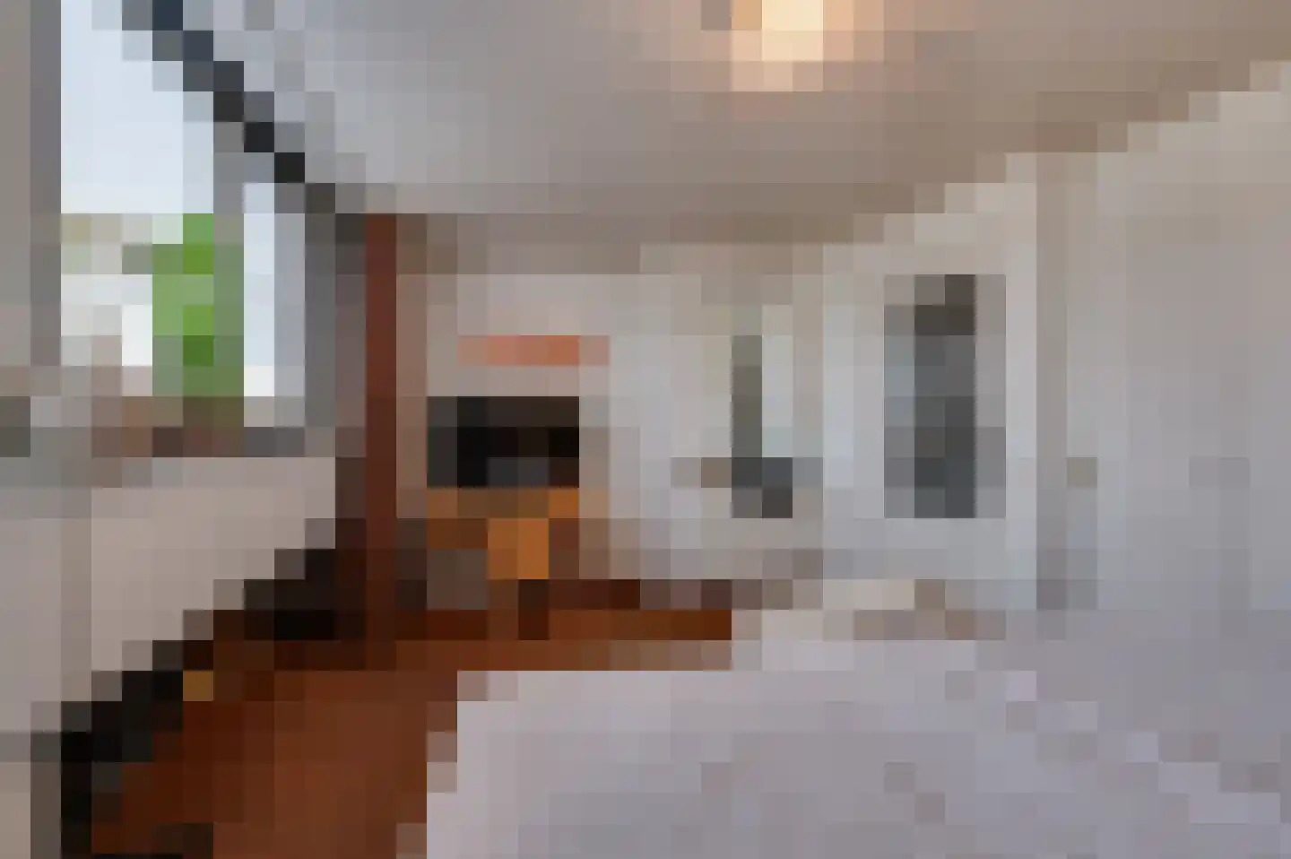Staartmolen 1 Papendrecht thumbnail 36