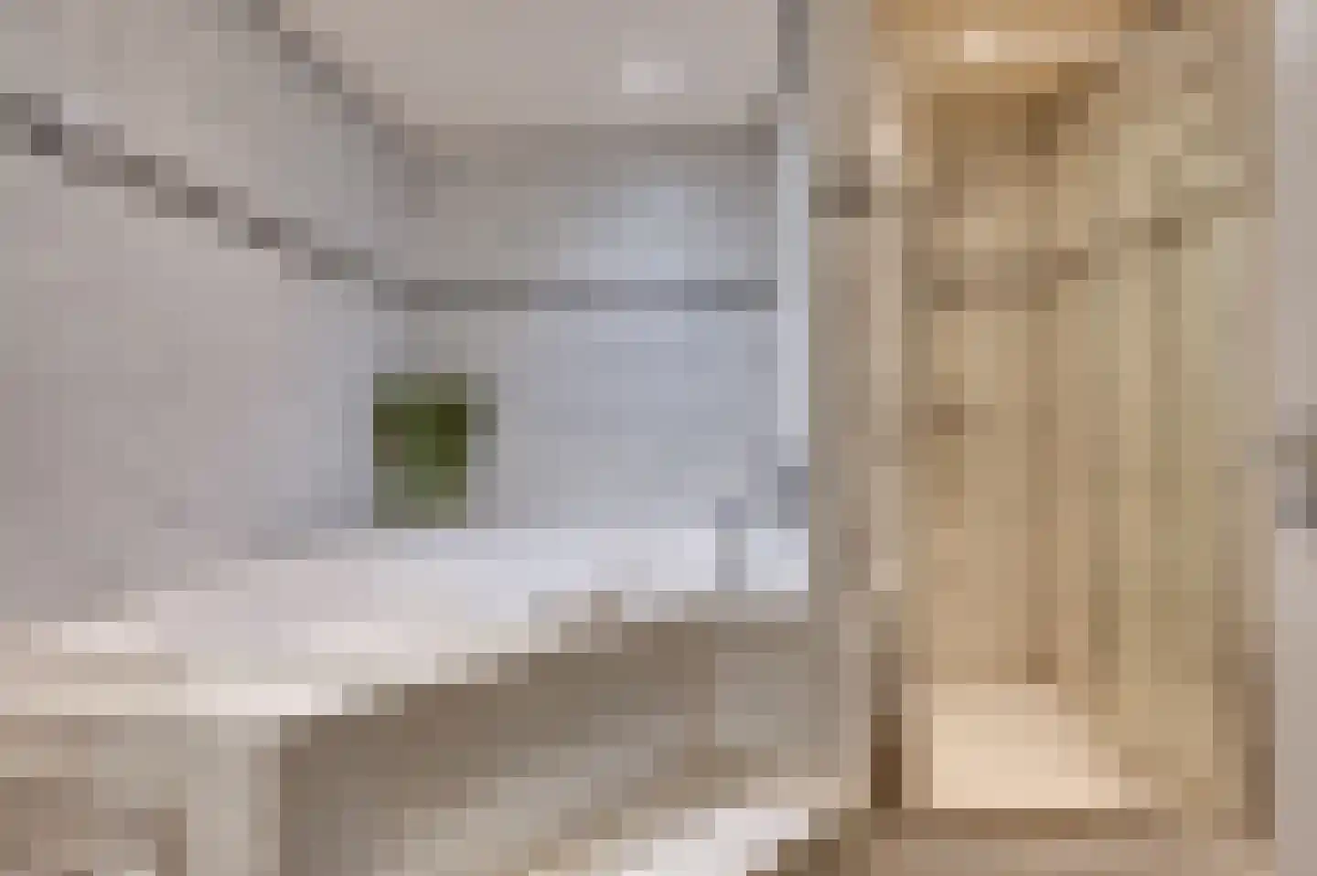 Staartmolen 1 Papendrecht thumbnail 45