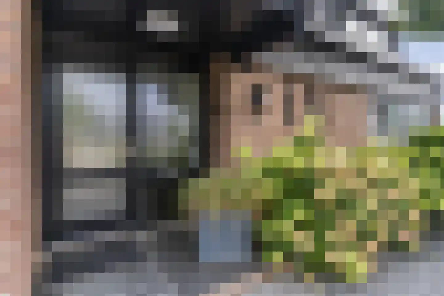 Staartmolen 1 Papendrecht thumbnail 5