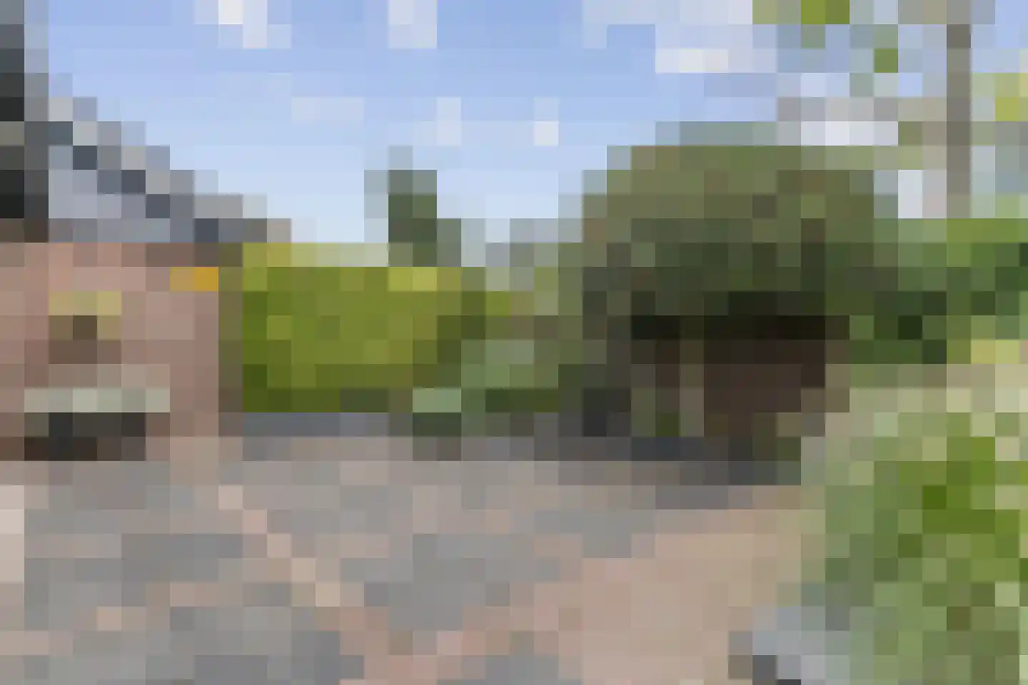 Staartmolen 1 Papendrecht thumbnail 52