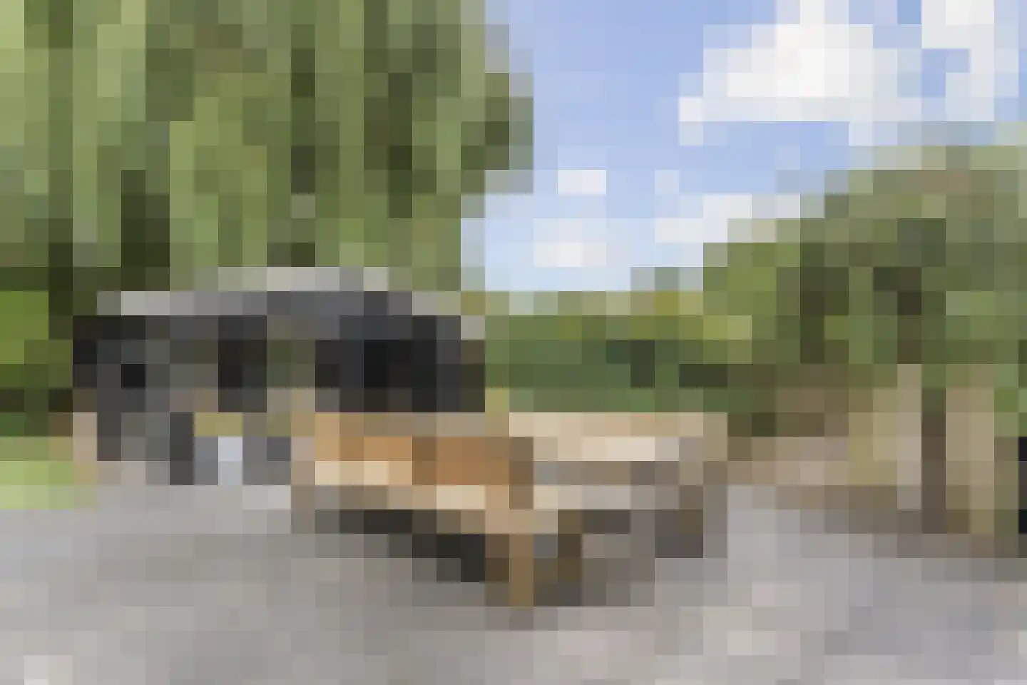 Staartmolen 1 Papendrecht thumbnail 54