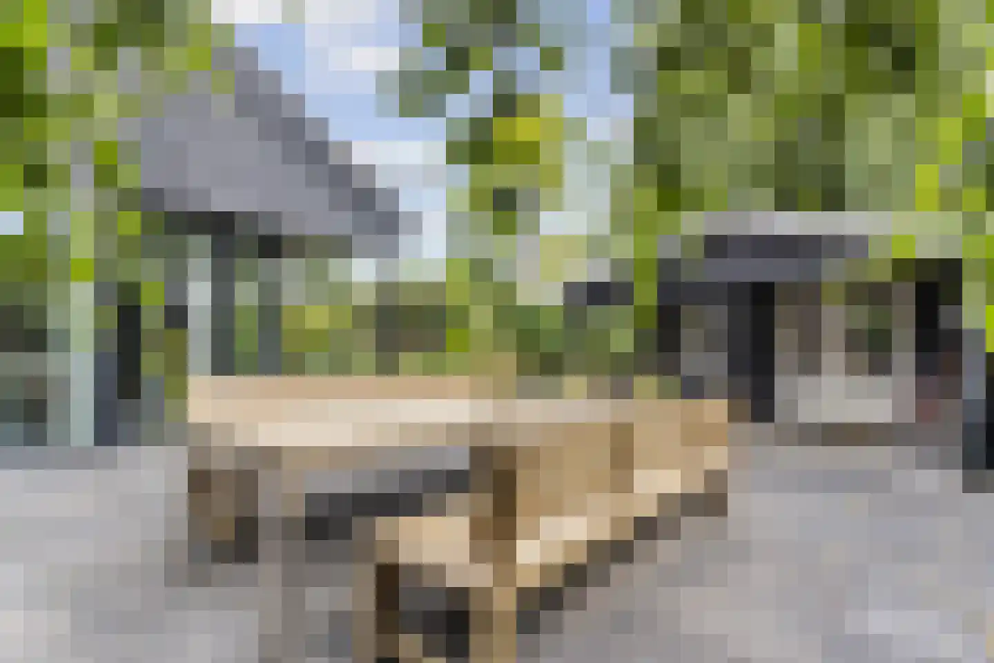 Staartmolen 1 Papendrecht thumbnail 55