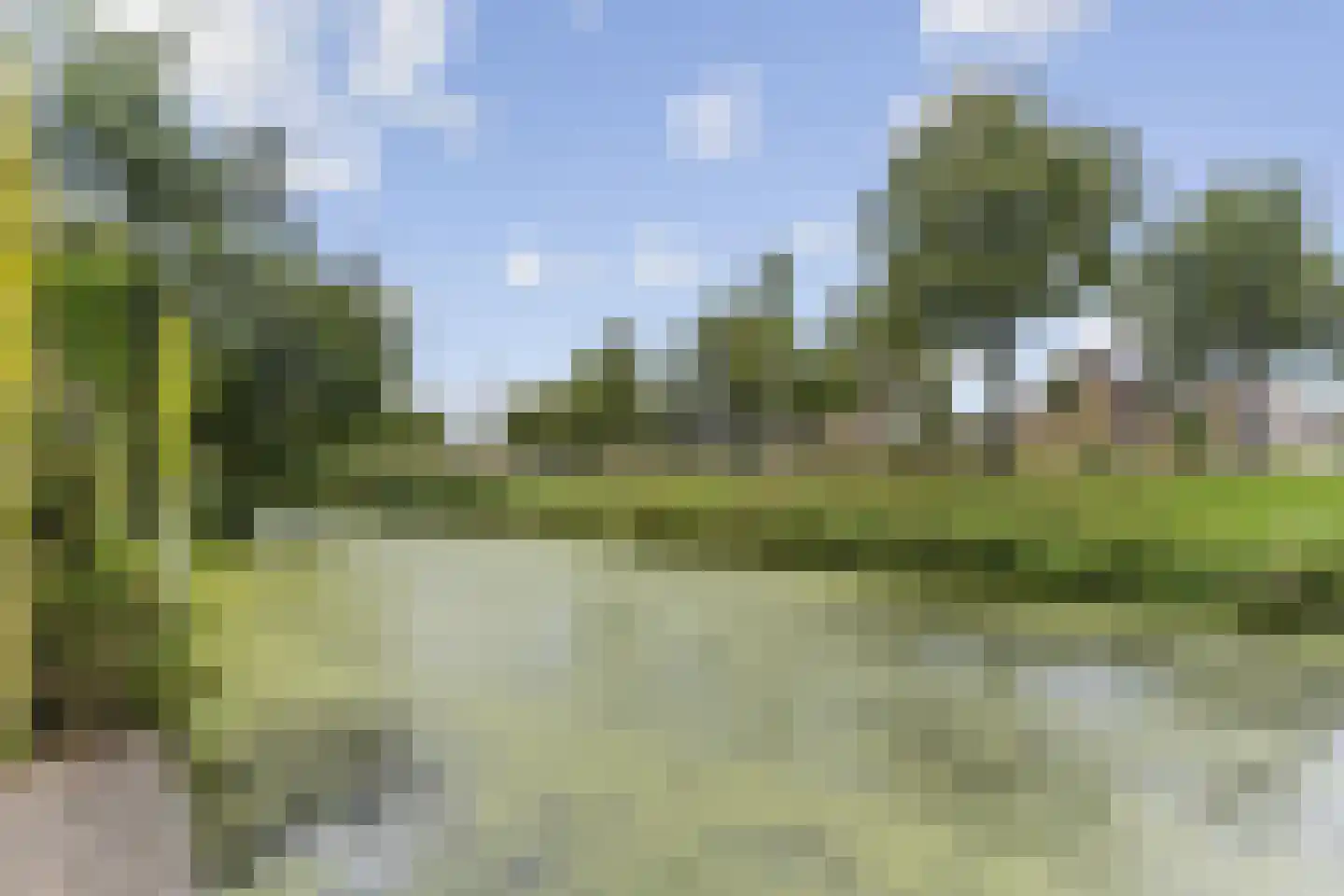 Staartmolen 1 Papendrecht thumbnail 58