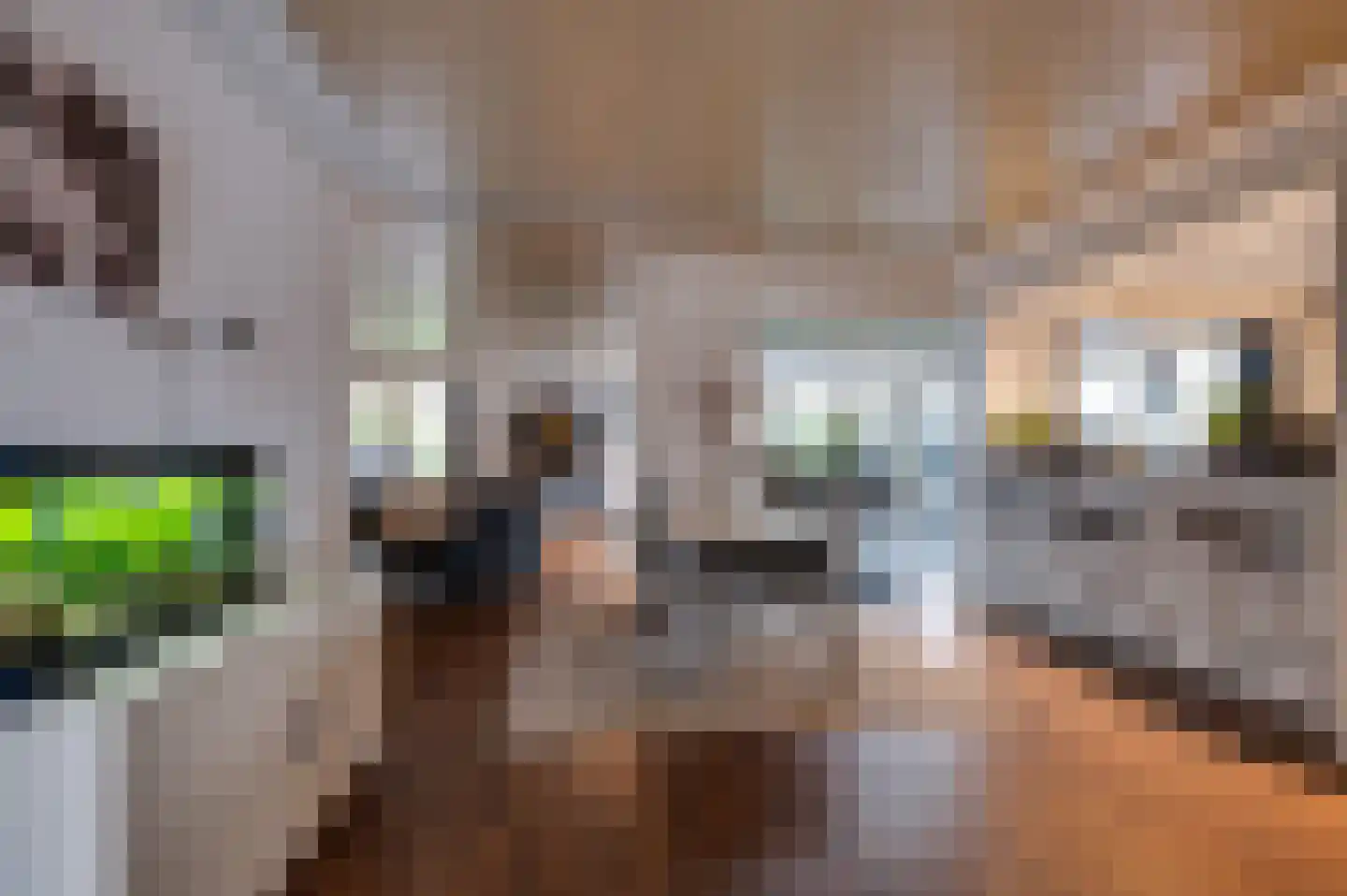 Staartmolen 1 Papendrecht thumbnail 8