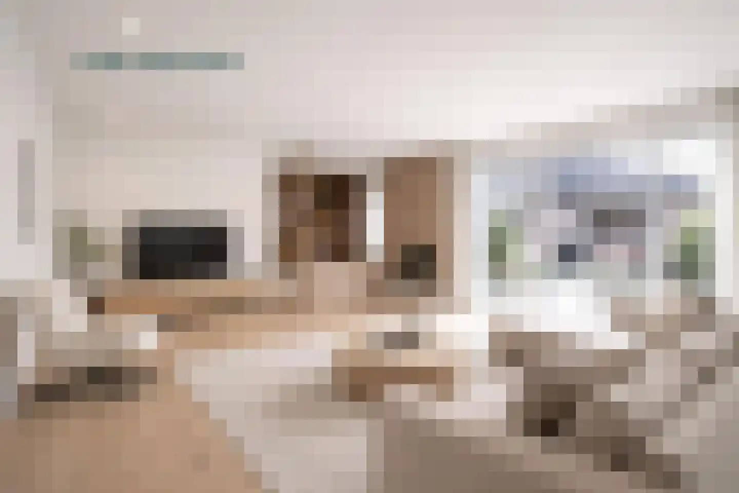 Staartmolen 12 Papendrecht thumbnail 12