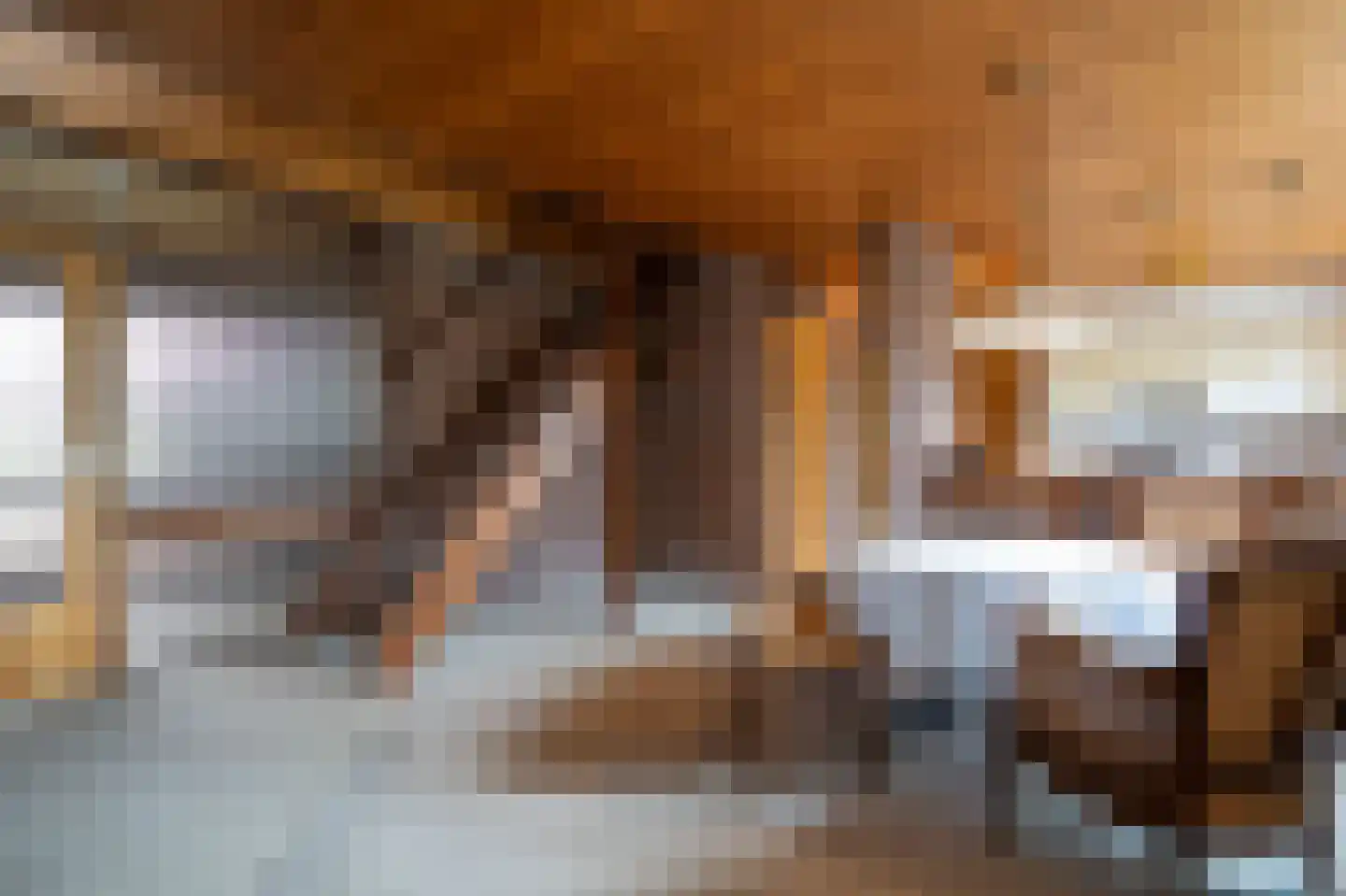 Staartmolen 12 Papendrecht thumbnail 14