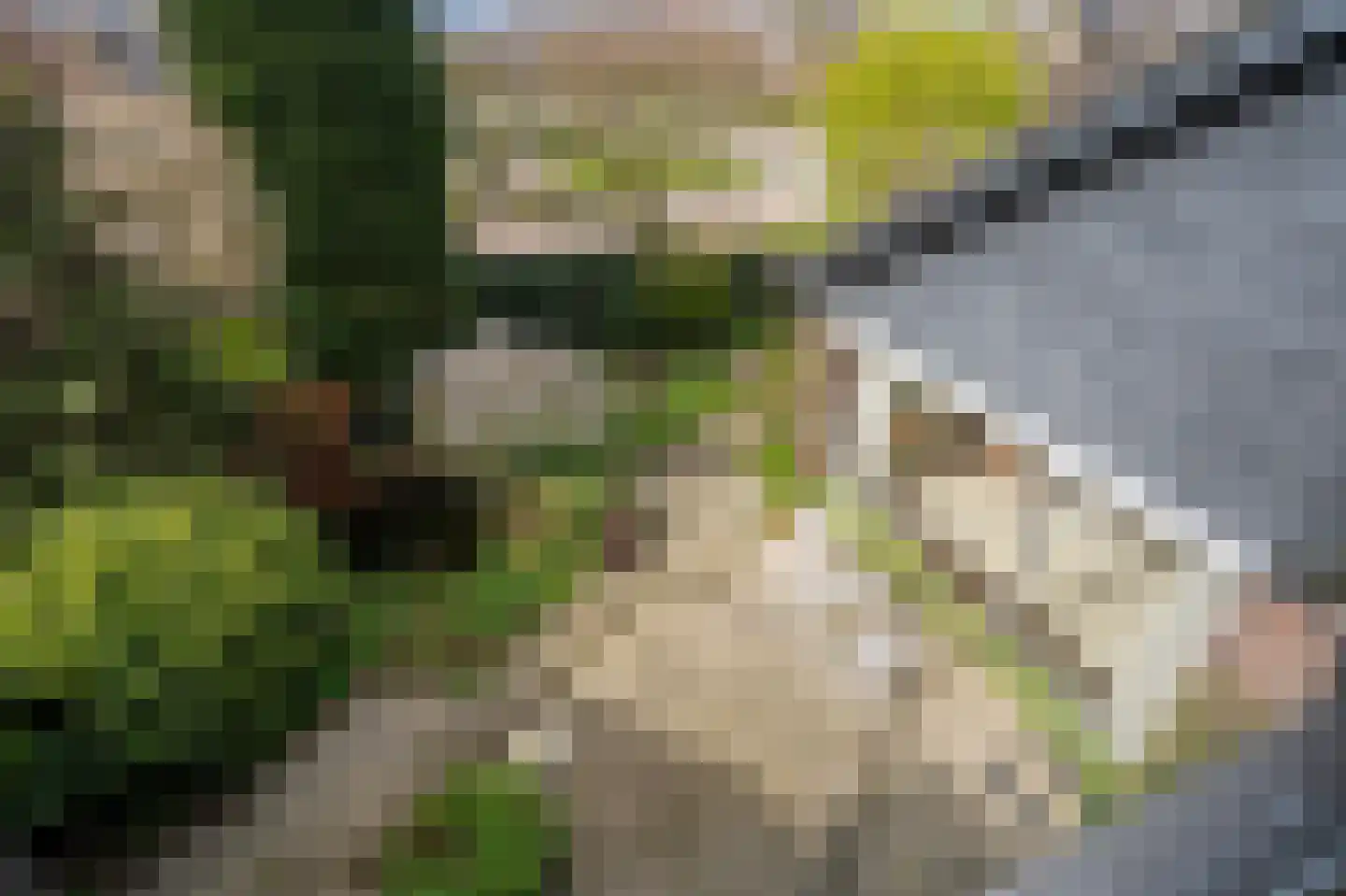 Staartmolen 12 Papendrecht thumbnail 28