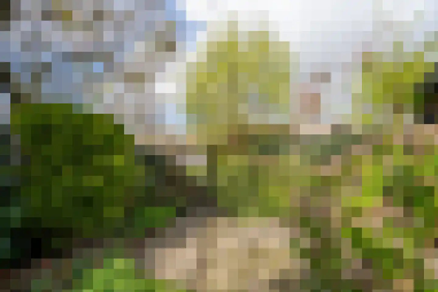Staartmolen 12 Papendrecht thumbnail 38