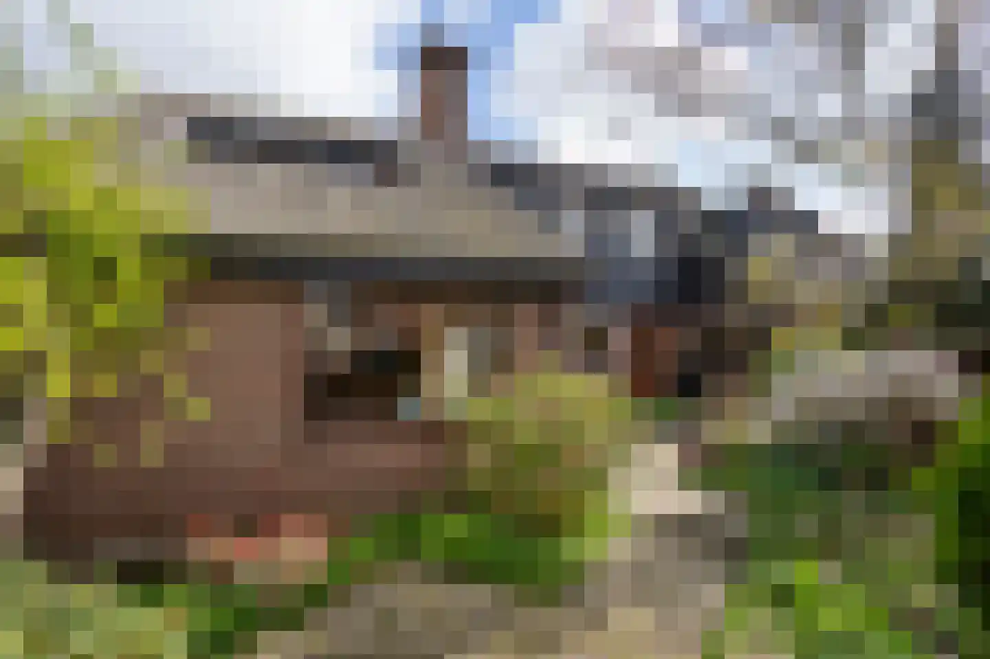 Staartmolen 12 Papendrecht thumbnail 39