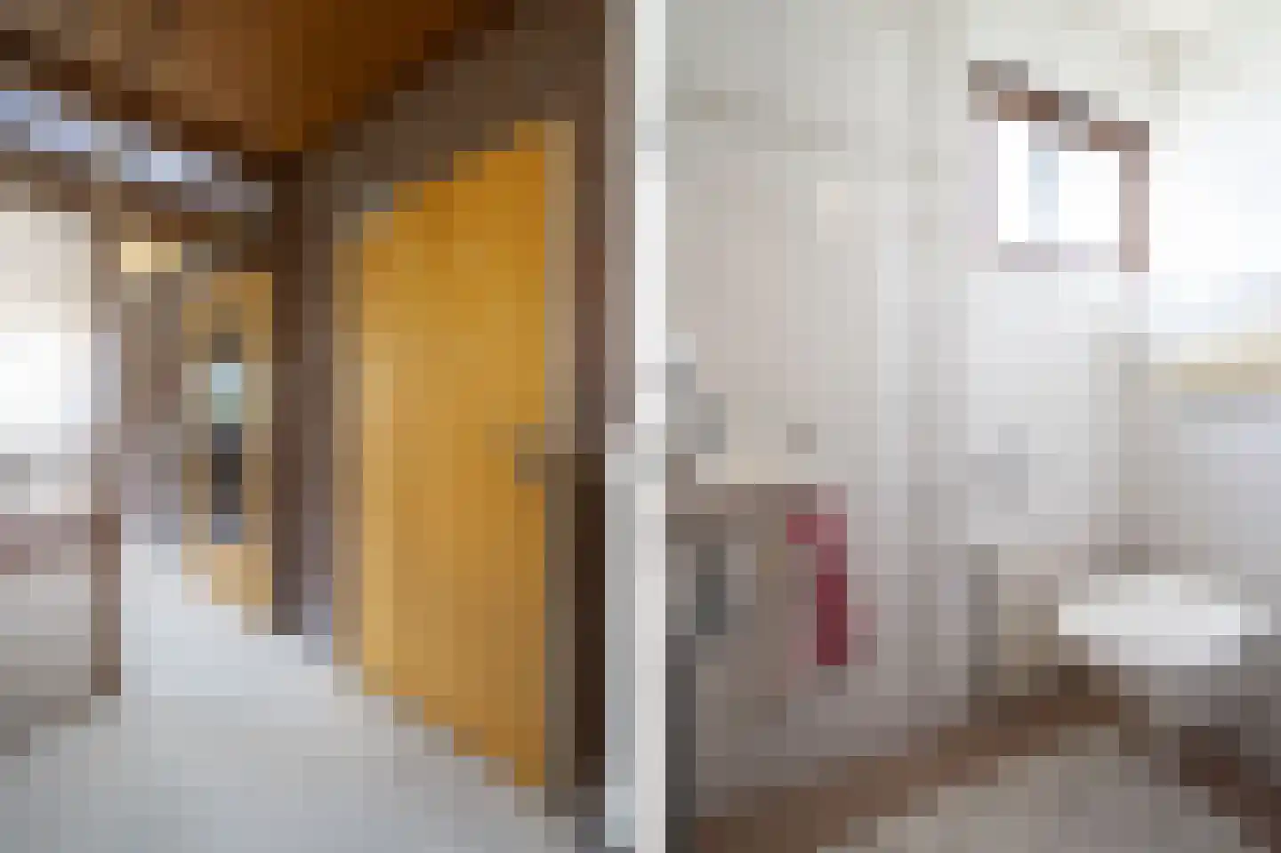 Staartmolen 12 Papendrecht thumbnail 8