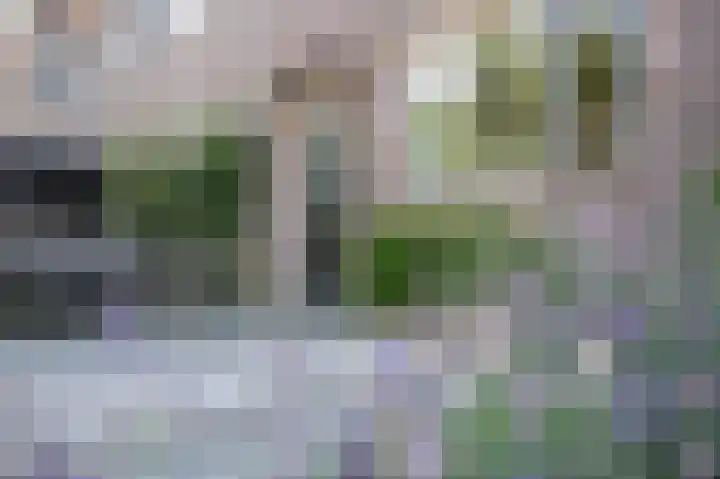 Staartmolenstraat 15 Culemborg thumbnail 5