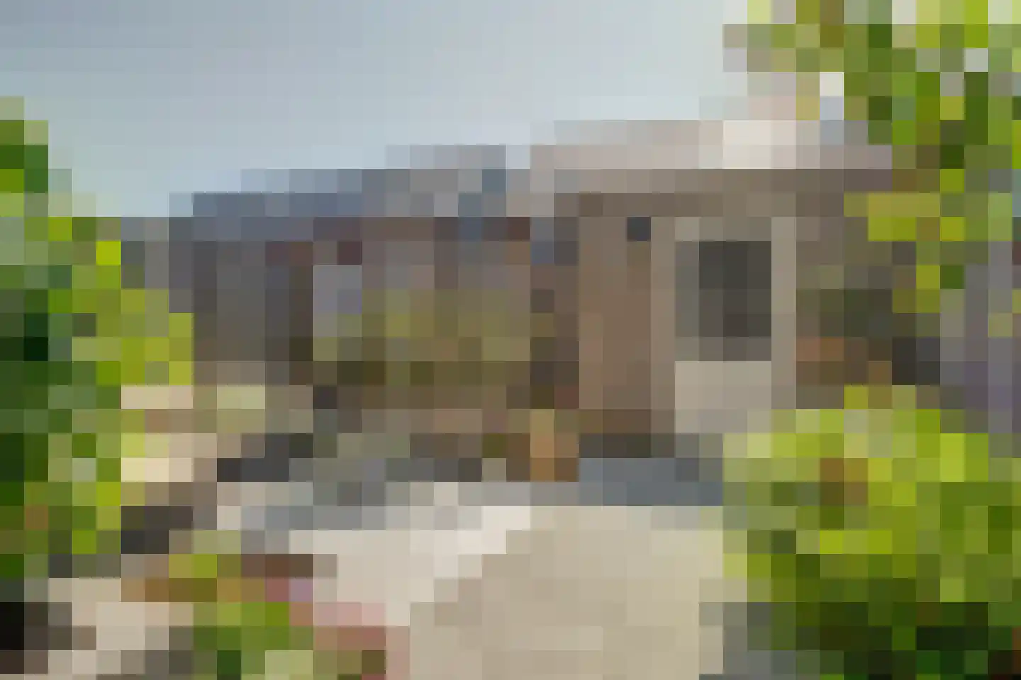 Staartploeg 11 't Zand thumbnail 13