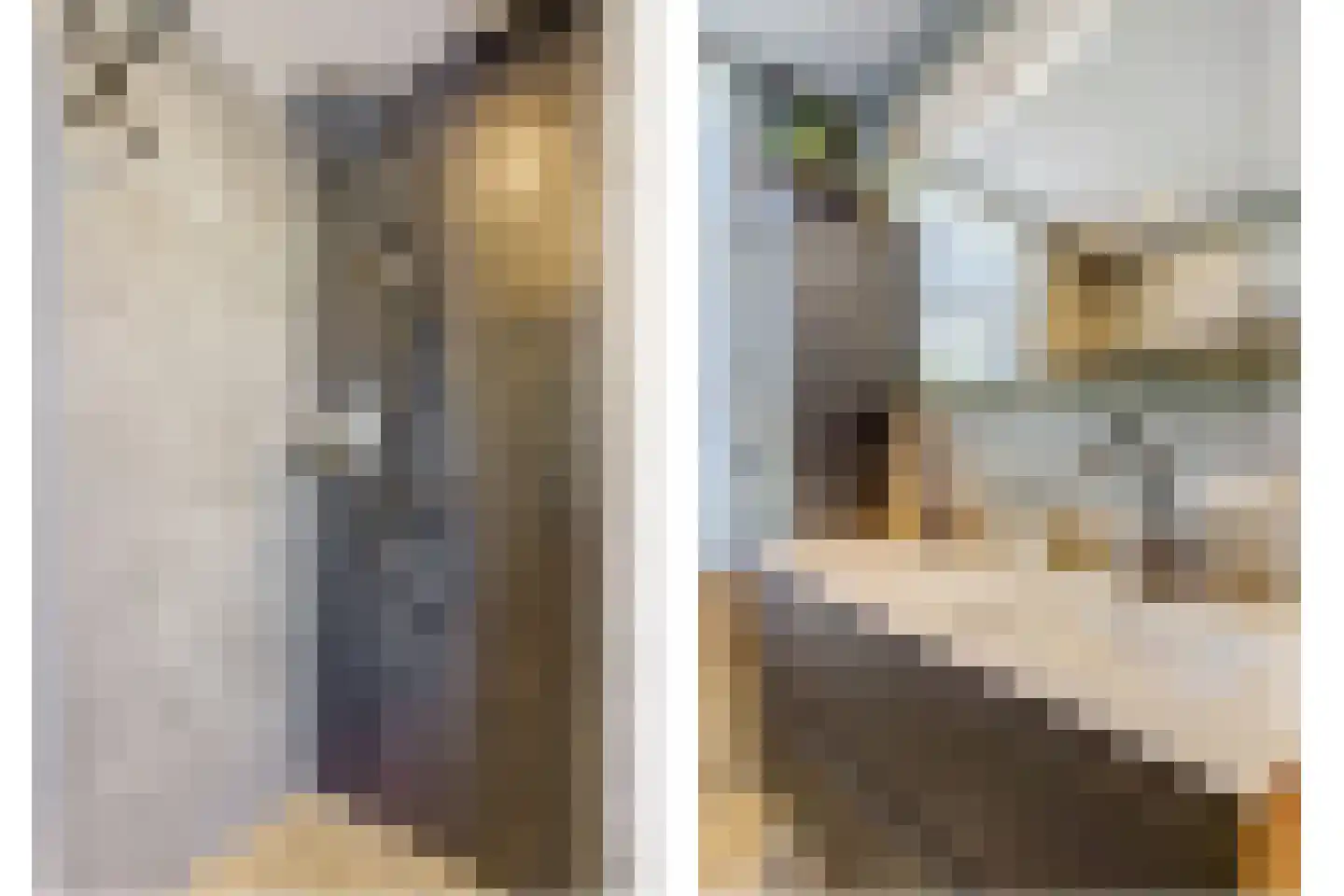Staartploeg 11 't Zand thumbnail 27