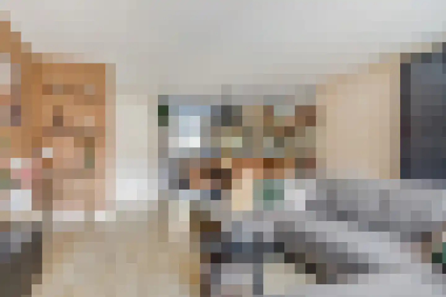 Staartploeg 11 't Zand thumbnail 7