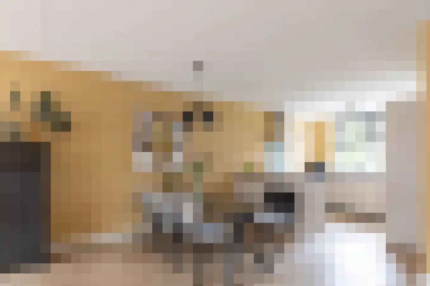 Staartploeg 13 't Zand thumbnail 11