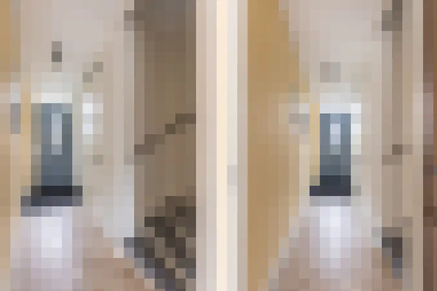 Staartploeg 13 't Zand thumbnail 21