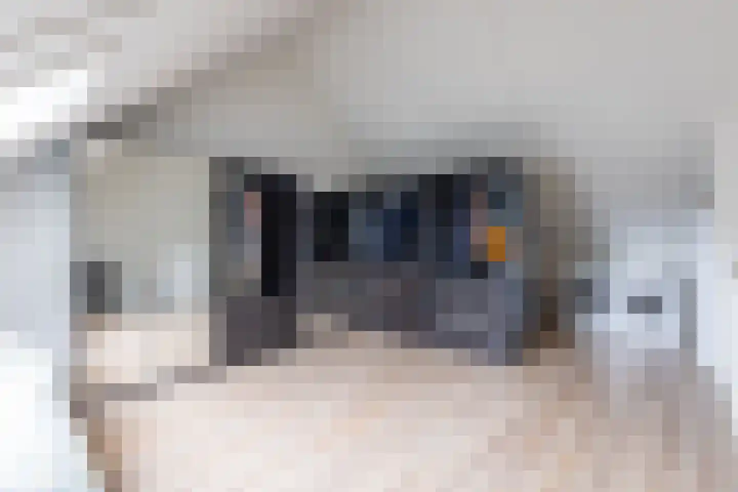 Staartploeg 13 't Zand thumbnail 39