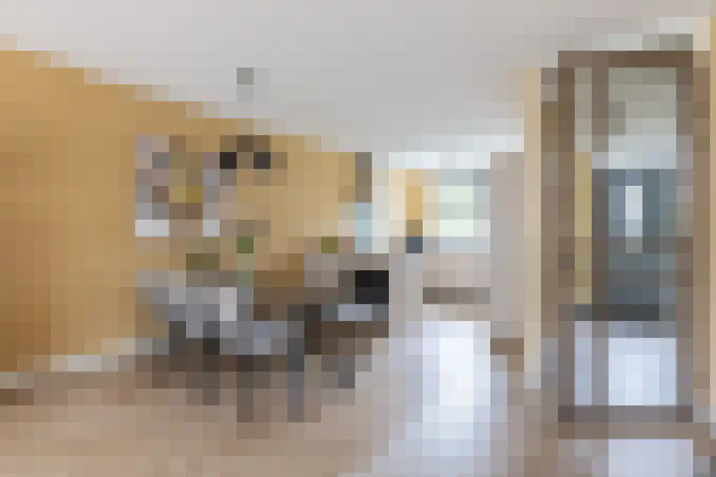 Staartploeg 13 't Zand thumbnail 4