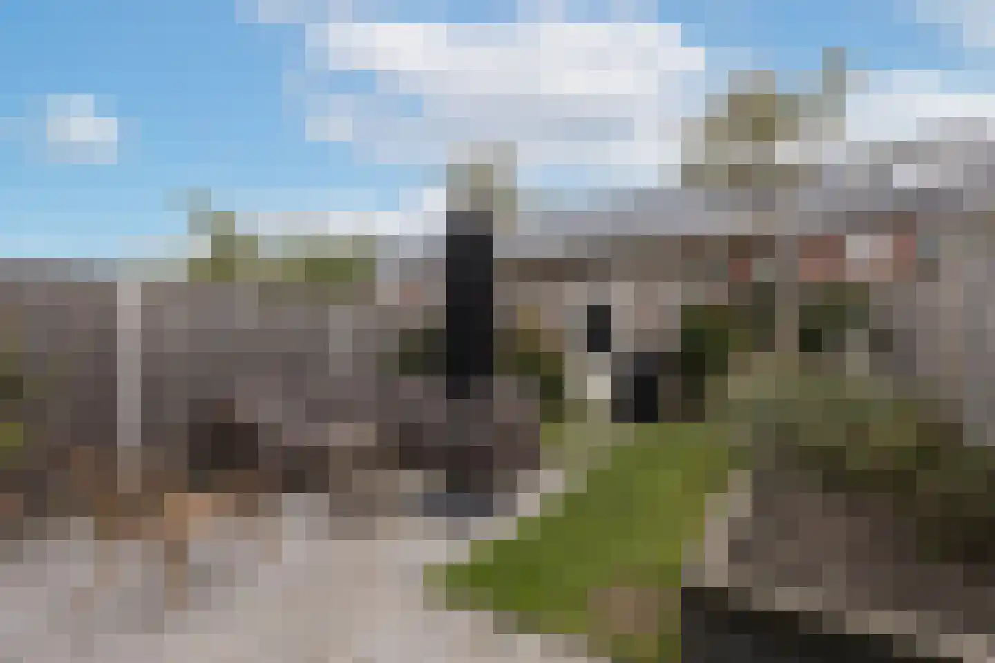 Staartploeg 13 't Zand thumbnail 43