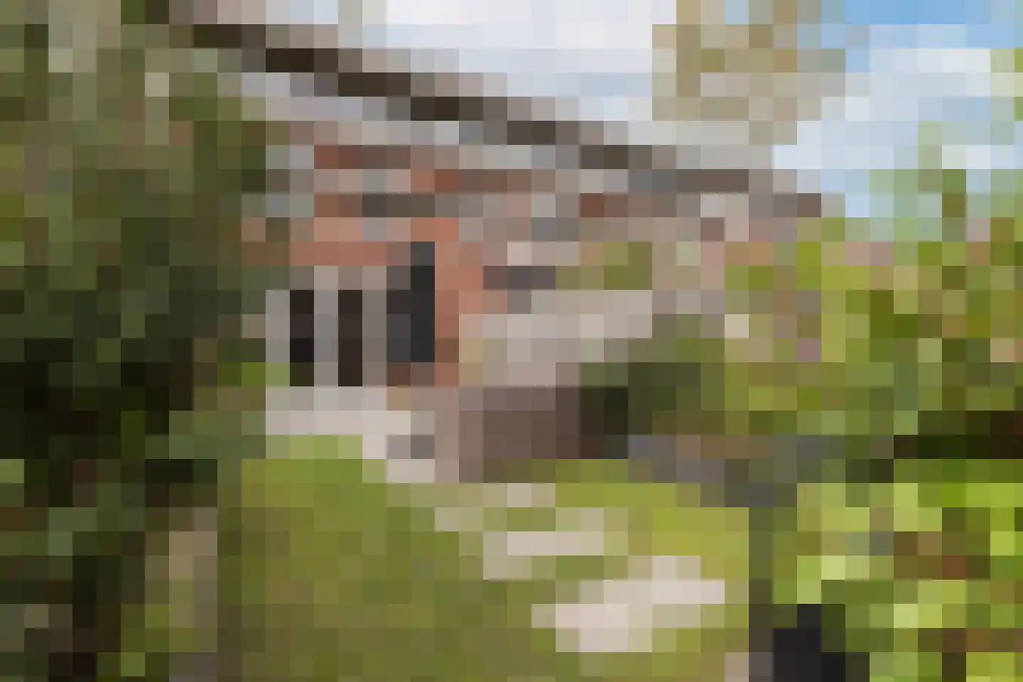 Staartploeg 13 't Zand thumbnail 46