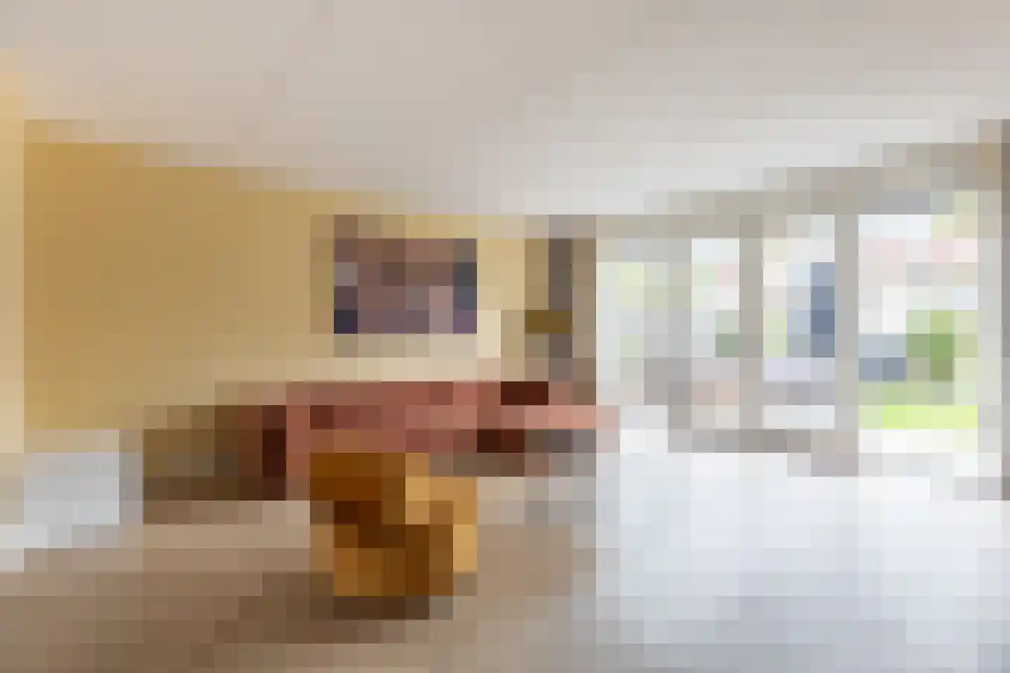 Staartploeg 13 't Zand thumbnail 6