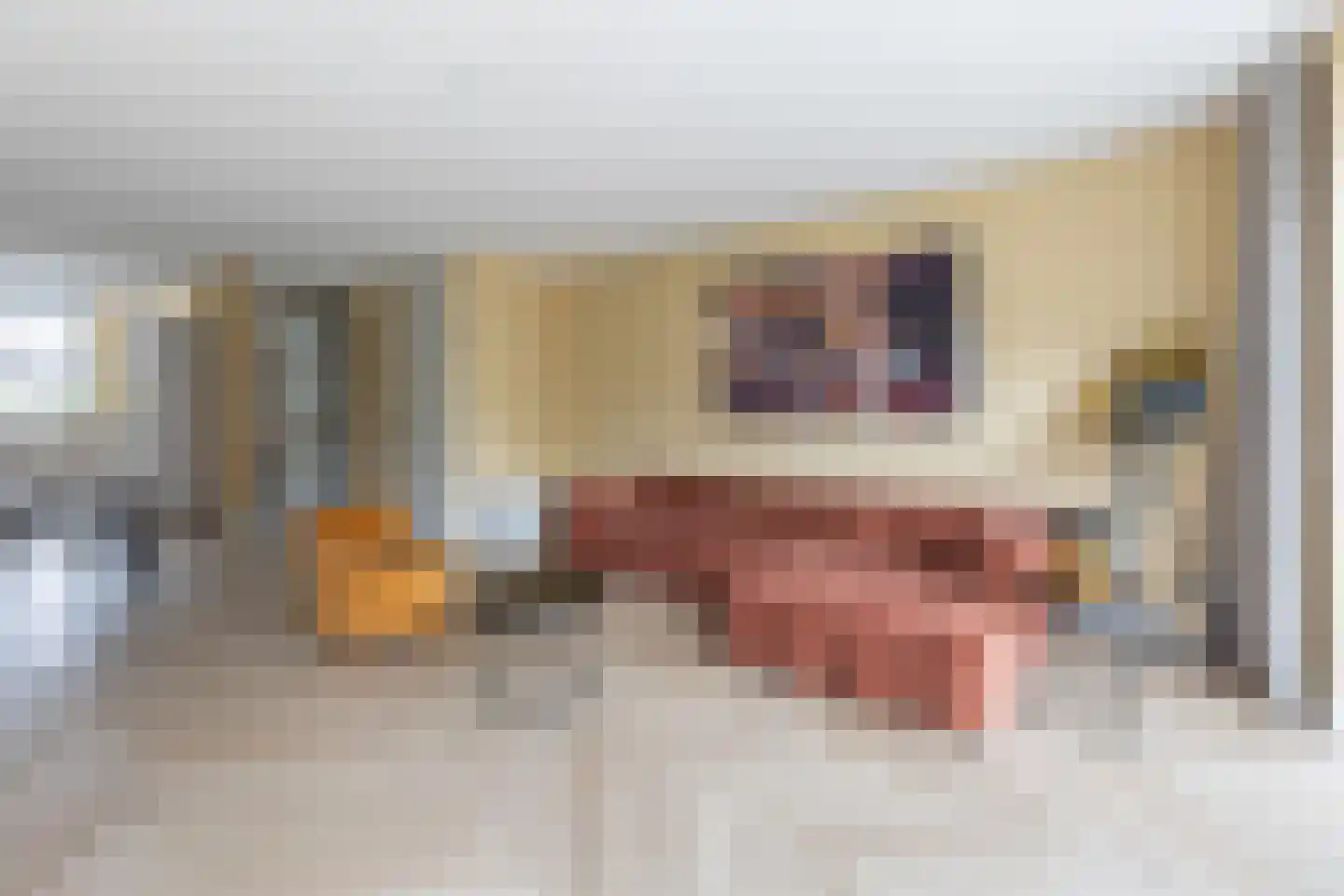 Staartploeg 13 't Zand thumbnail 7