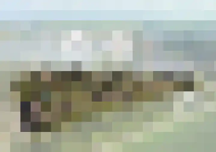 Staartploeg 20 Zevenhuizen thumbnail 4