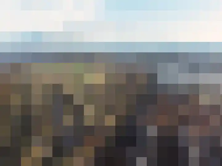 Staartploeg 20 Zevenhuizen thumbnail 6