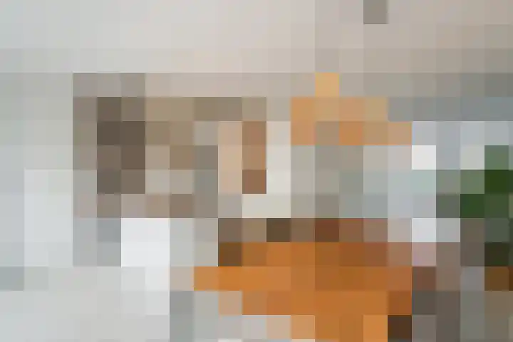 Staartploeg 23 't Zand thumbnail 13