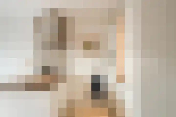 Staartploeg 23 't Zand thumbnail 15