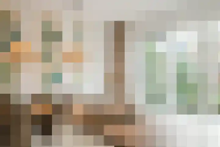 Staartploeg 23 't Zand thumbnail 19