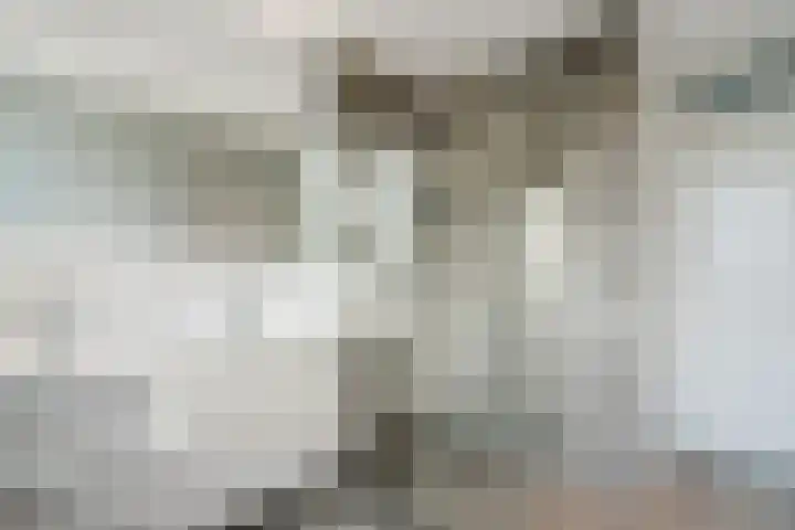 Staartploeg 23 't Zand thumbnail 29