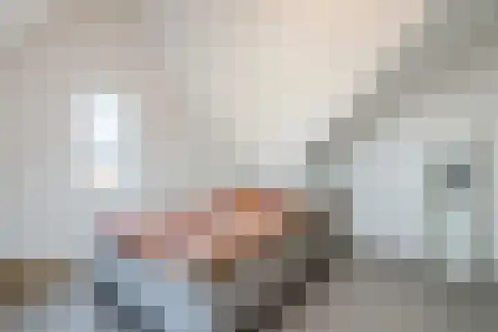 Staartploeg 23 't Zand thumbnail 39