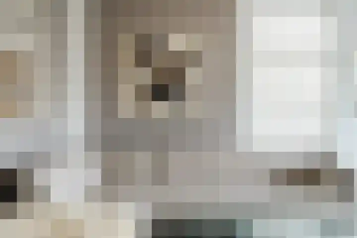 Staartploeg 23 't Zand thumbnail 4