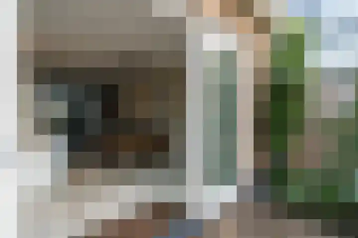 Staartploeg 23 't Zand thumbnail 46