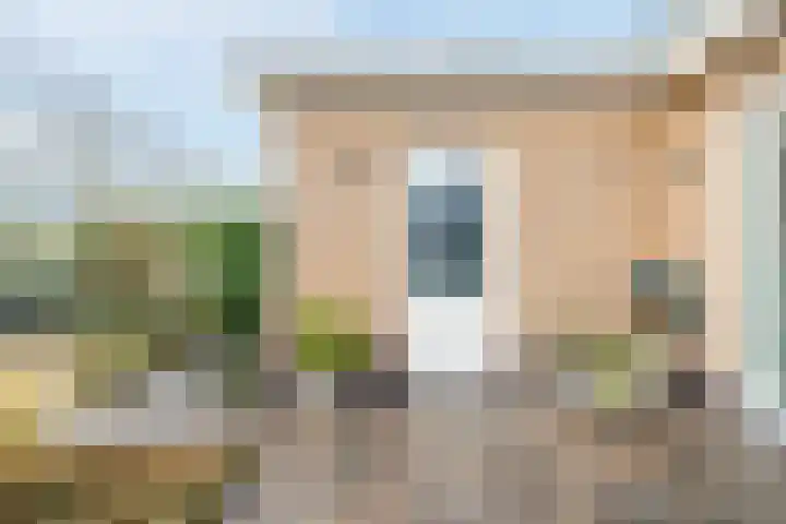 Staartploeg 23 't Zand thumbnail 47