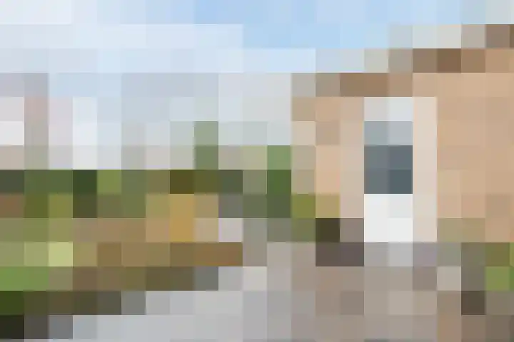 Staartploeg 23 't Zand thumbnail 48