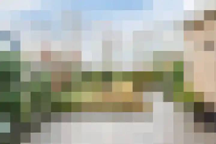 Staartploeg 23 't Zand thumbnail 49